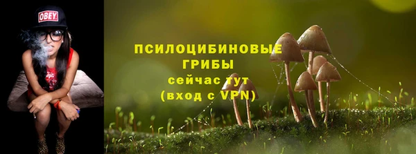 2c-b Арсеньев