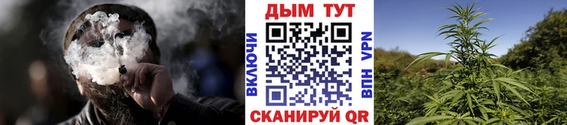 Конопля THC 21% Кукмор